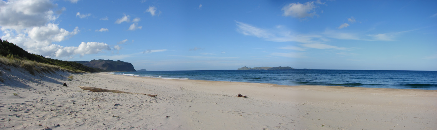 298_beach_coromandel