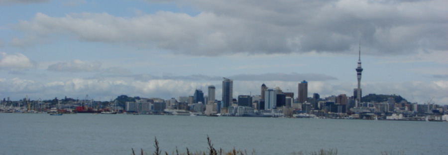 497auckland_from_the_car